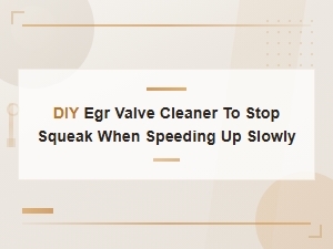 Diy Egr Valve Cleaner to Stop Squeak When Speeding Up Slowly