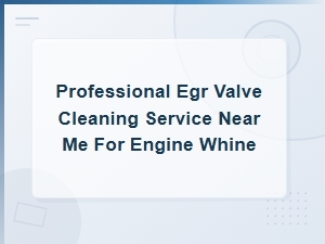 Professional Egr Valve Cleaning Service Near Me for Engine Whine Repair