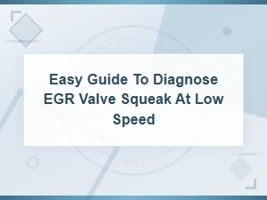Easy Guide to Diagnose Egr Valve Squeak at Low Speed