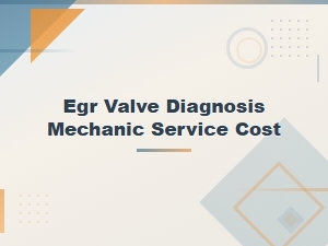 Egr Valve Diagnosis and Mechanic Service Cost Guide