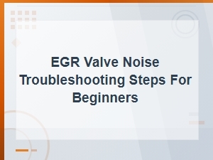 Egr Valve Noise Troubleshooting Steps for Beginners: Easy Repair Guide