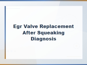 Egr Valve Replacement Guide After Squeaking Diagnosis