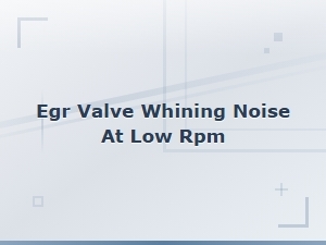 Egr Valve Whining Noise at Low Rpm