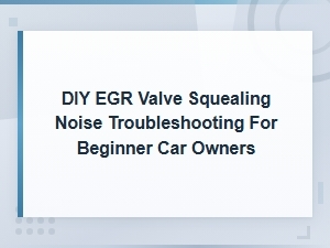 Diy Egr Valve Squealing Noise Troubleshooting for Beginner Car Owners