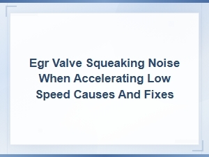 How to Prevent Egr Valve Squeaking Noise When Accelerating at Low Speed